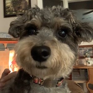 Meet your Posher, Hailey